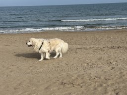 095-19-12-2025 IMG_3244